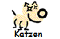 Katzen 