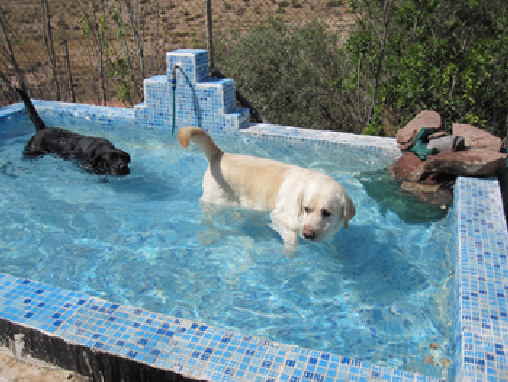 2009 - 07 16 - 0004 OM